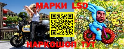 дмт Обь