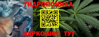дмт Обь
