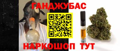 дмт Обь