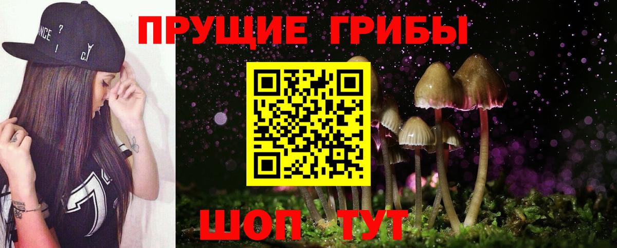 Галлюциногенные грибы Psilocybine cubensis  Вход с VPN  Тверь 